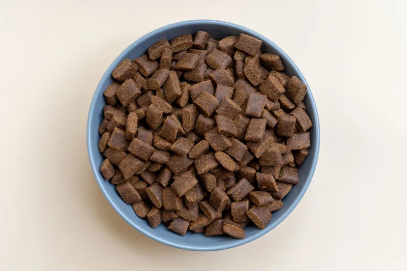 The Copper Overload Nobody's Warning You About — And What It's Doing to Your Dog
