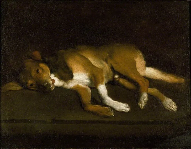 Your Home Is Aging Your Dog Faster Than You Think — Here's What to Do About It